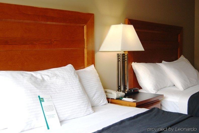 Quality Inn West Edmonton Habitación foto